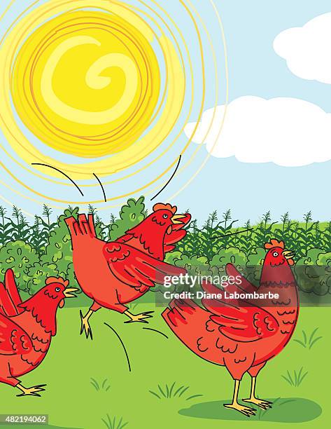 84 Chicken Flapping Wings Stock Photos, High-Res Pictures, and Images ...