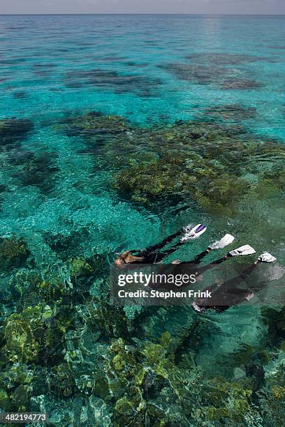 Snorkelers Above A Coral Reef, Foto de stock