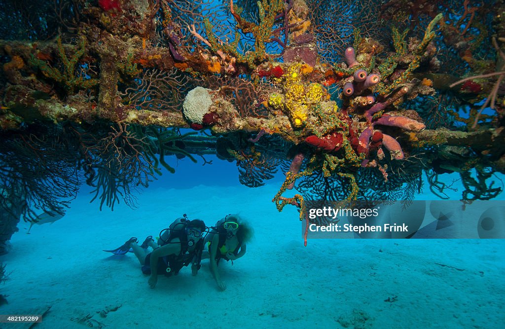 Scuba divers on shipwreck.