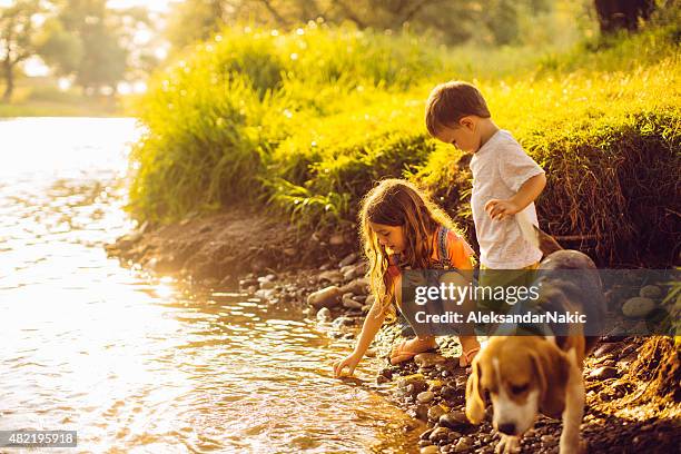 en la orilla - ribera característica de la tierra fotografías e imágenes de stock