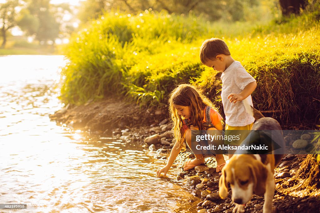 On the riverbank