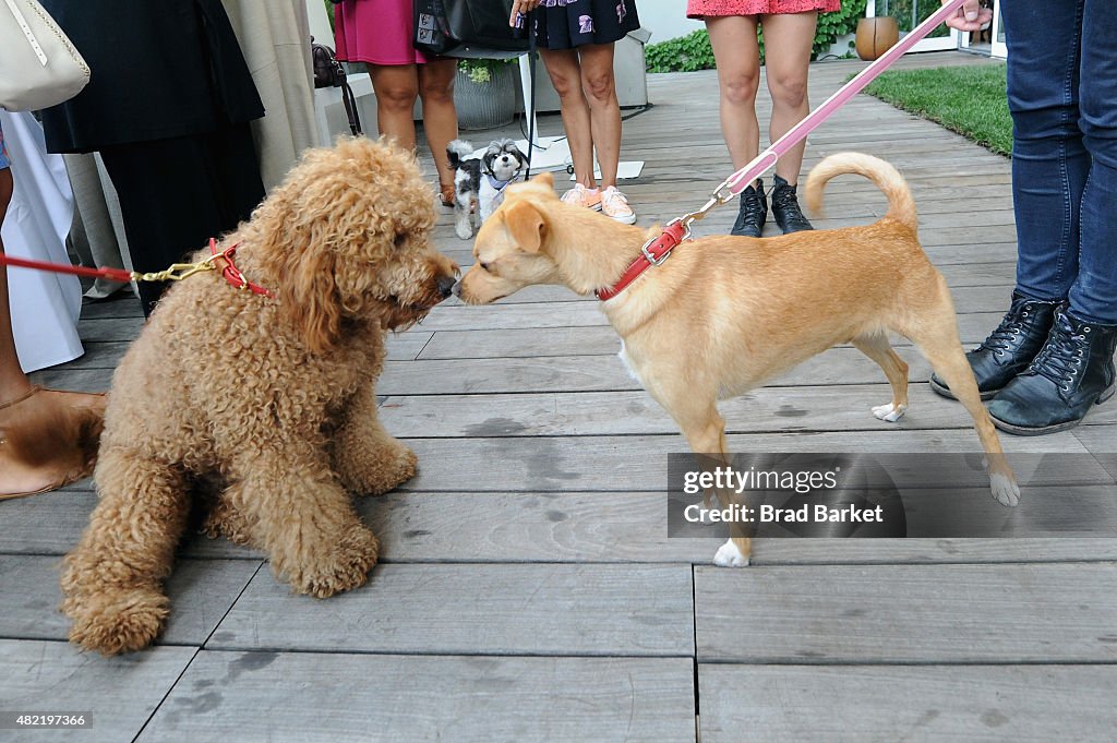 Coach And Toulouse Grande Celebrate The Coach Pups Campaign By Hosting An Event In New York, July 28th