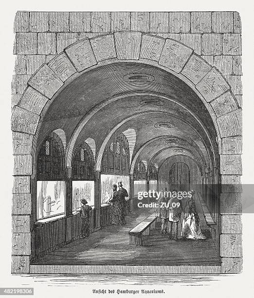 ilustraciones, imágenes clip art, dibujos animados e iconos de stock de acuario de agua salada en hamburgo, publicado en 1868 - techo abovedado
