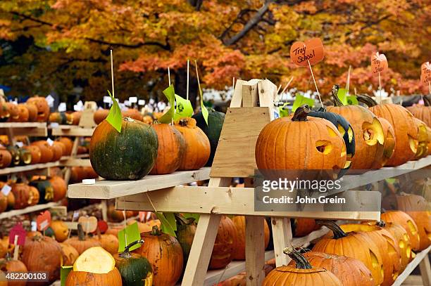 Pumpkin festival display.