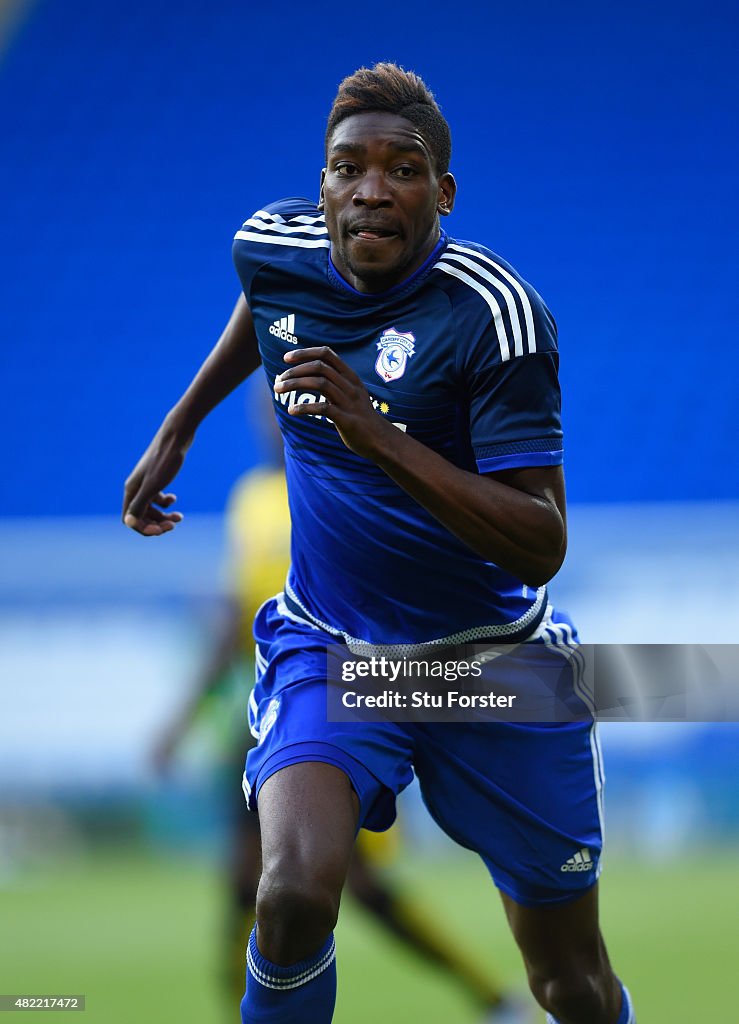 Cardiff City v Watford - Pre Season Friendly