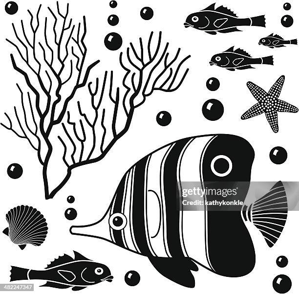 bildbanksillustrationer, clip art samt tecknat material och ikoner med sea life design elements - angel fish