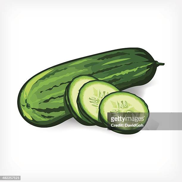 stockillustraties, clipart, cartoons en iconen met vector cucumbers - komkommer