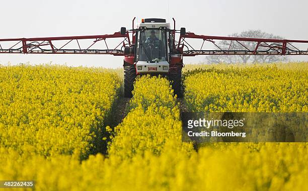Farmer uses a Bateman crop sprayer, produced by Bateman Engineering Ltd., to spray a field of rapeseed crops in Basildon, U.K., on Wednesday, April...