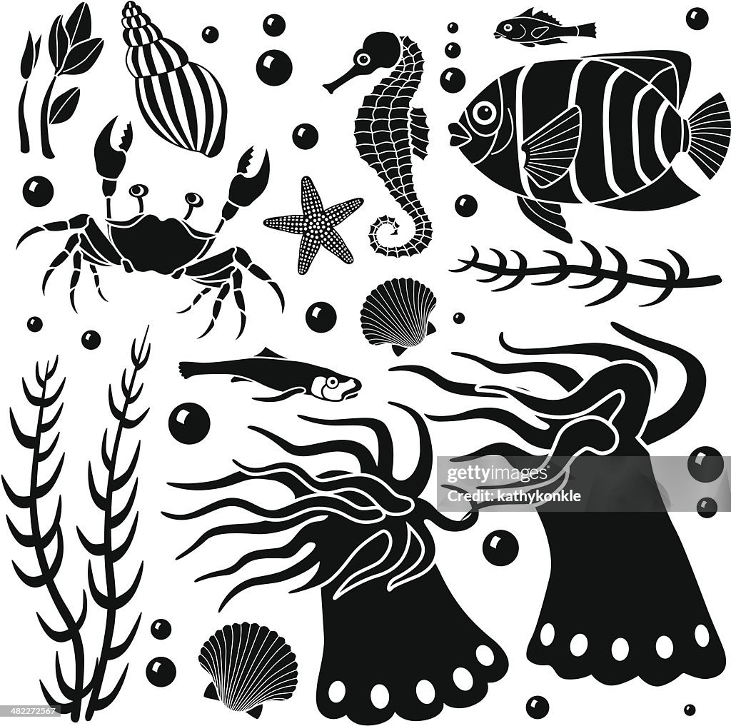 Sea Creatures Layout Sea Creatures Design Elements High-Res Vector Graphic - Getty Images