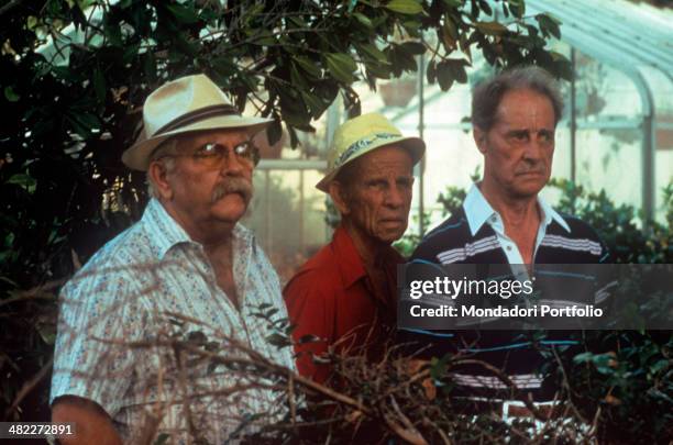 American actors Wilford Brimley, Hume Cronyn and Don Ameche acting in a greenhouse in the film Cocoon. 1985