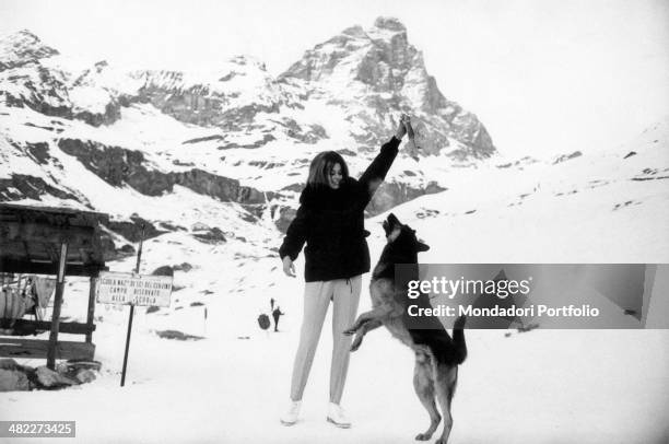 The Spring girl of Italian magazine Confidenze Liliana Calvesi playing with a German Shepherd dog on a ski run. Breuil-Cervinia, 1964