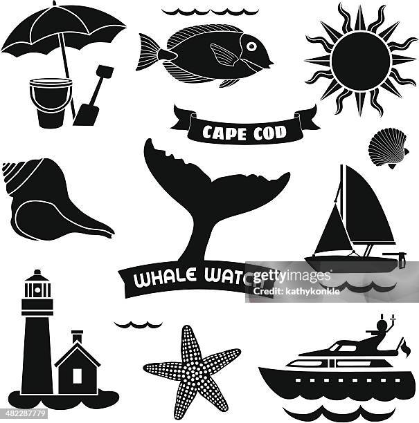 cae cod icons - sturgeon stock illustrations