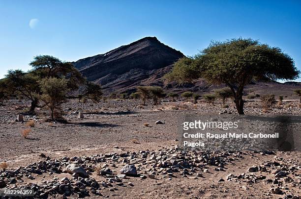 Hammada desert landscape.