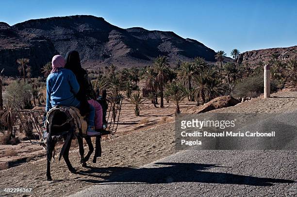 Women on a donkey walking on the road.
