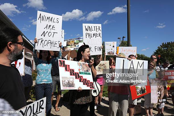 Rachel Augusta leads the protest of the killing of Cecil the lion in the parking lot of hunter Dr. Walter Palmer's River Bluff Dental Clinic on July...