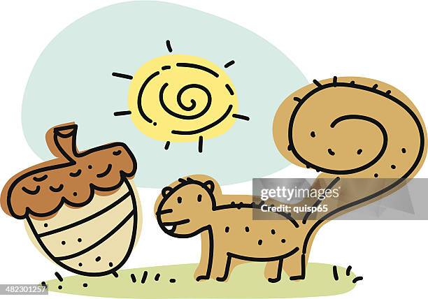 squirrel doodle - squirrel acorn stock illustrations
