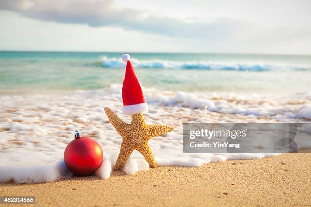 santa claus weihnachten seestern in tropischen strand-urlaub in hawaii. - beach christmas stock-fotos und bilder