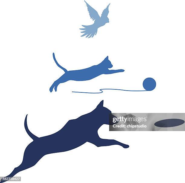 illustrations, cliparts, dessins animés et icônes de oiseau chat chien saut - sauter