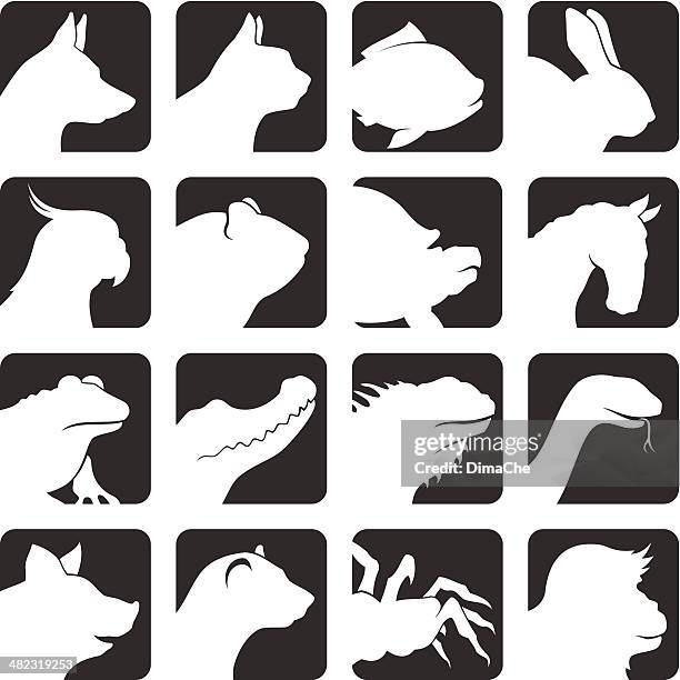 ilustraciones, imágenes clip art, dibujos animados e iconos de stock de icono de mascotas - iguana