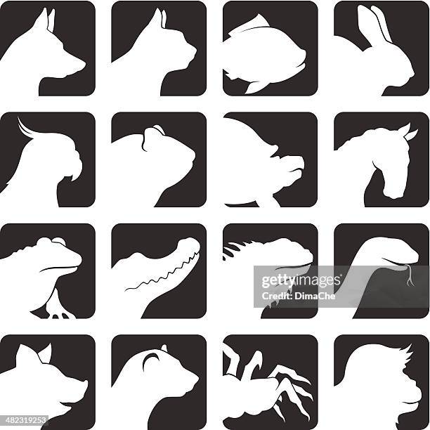 pets icon set - turtle silhouette stock illustrations