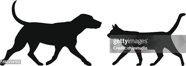 hund katze walk - hundespaziergang stock-grafiken, -clipart, -cartoons und -symbole