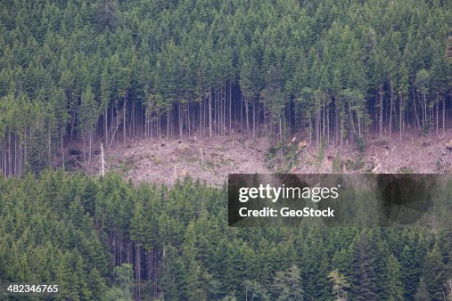 Selective logging Selective logging