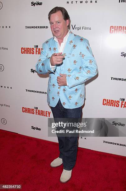 Actor Joel Murray attends the "I Am Chris Farley" Los Angeles Premiere at Linwood Dunn Theater at the Pickford Center for Motion Study on July 29,...