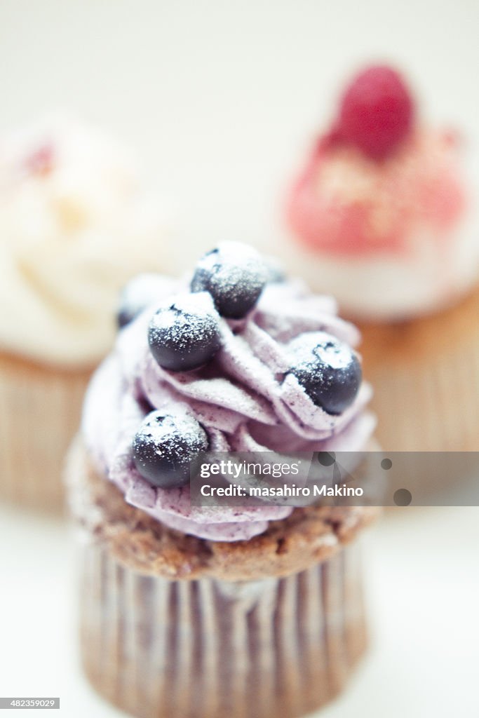 Blueberry Cupcake