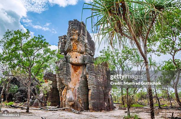 lost city litchfield national park - litchfield national park stockfoto's en -beelden