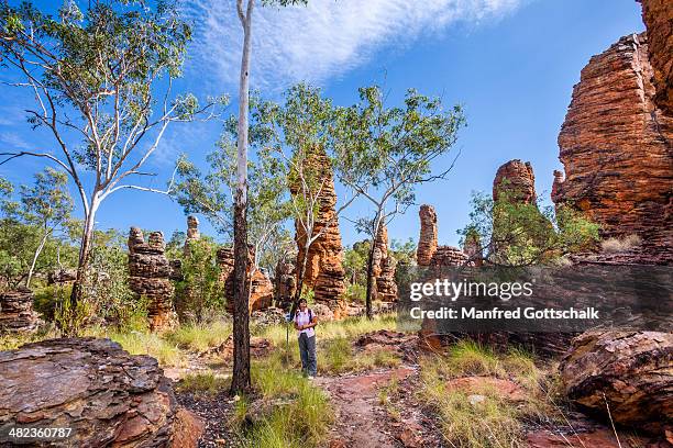 Limmen 135 Limmen National Park Stock Photos, High-Res Pictures, and Images ...