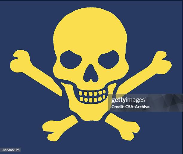 stockillustraties, clipart, cartoons en iconen met skull and crossbones - skull and crossbones