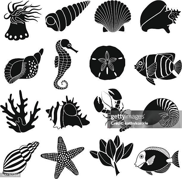 ilustraciones, imágenes clip art, dibujos animados e iconos de stock de iconos animales de mar - medusa cnidario