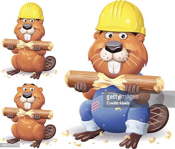 working beaver - beaver chew stock illustrations