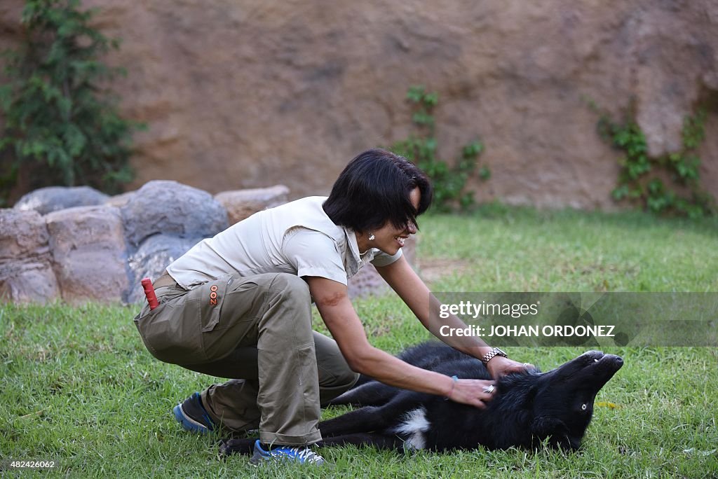 GUATEMALA-ZOO-WOLVES