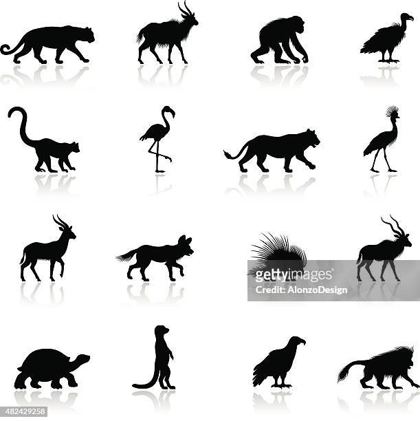 african animal silhouettes - african chimpanzees stock illustrations