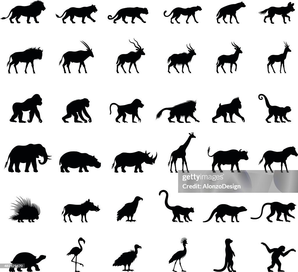 Afrikanische Tiere Silhouetten