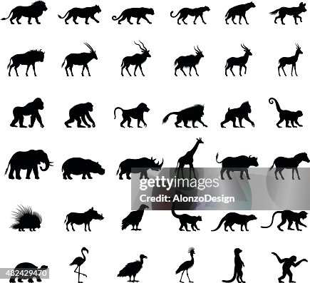 Siluetas de animales africanos Siluetas de animales africanos
