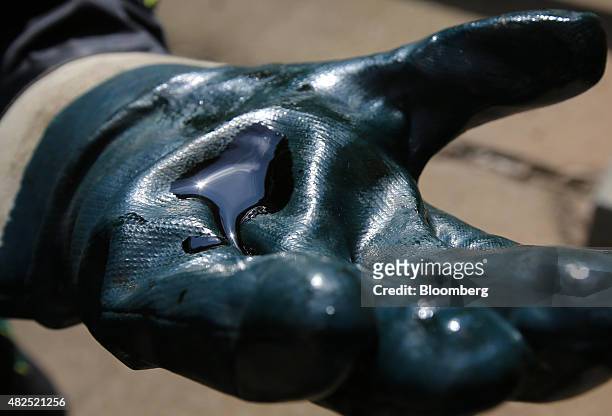 An employee holds a sample of crude oil on his glove in this arranged photograph at the "TANECO" refining and petrochemical plant, operated by...