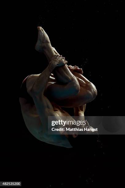 Rommel A. Pacheco Marrufo of Mexico competes in the Men's 3m Springboard Diving Final on day seven of the 16th FINA World Championships at the...