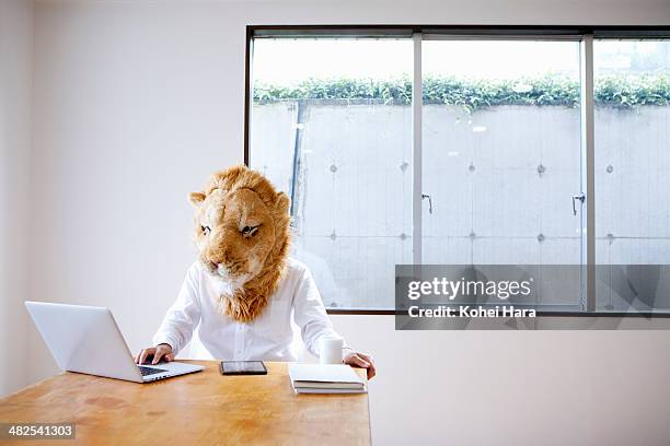 a business man with lion head working at office - mask disguise imagens e fotografias de stock