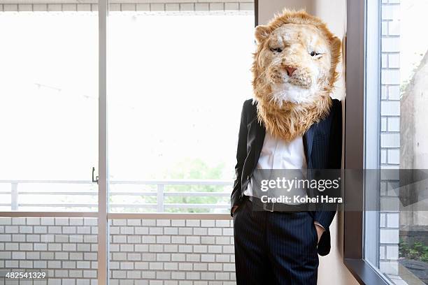 a portrait of business man with lion head - animal oddity stock pictures, royalty-free photos & images