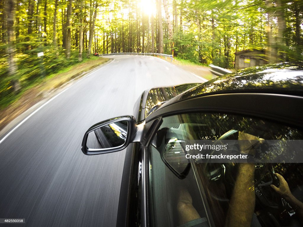 Driving fast on the forest