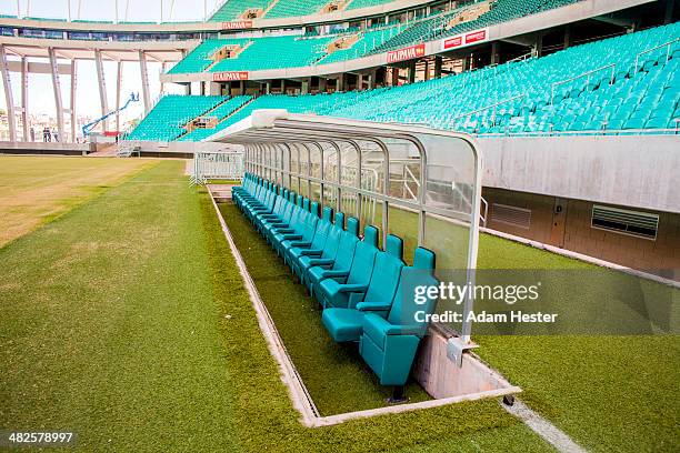 6,614 Itapaiva Arena Fonte Nova Photos Stock Photos, High-Res Pictures ...