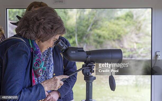 Queen Sofia of Spain watches wildlife through a telescope during her visit to learn about the Donana Biological Station's research projects at the...
