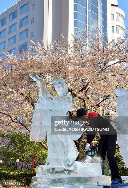 An international ice carving championship winner Yoshihito Kosaka makes an ice sculpture of a dancing geisha girl under fully bloomed cherry blossom...