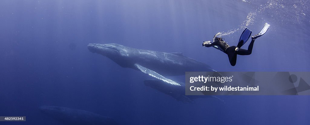 FREEDIVING