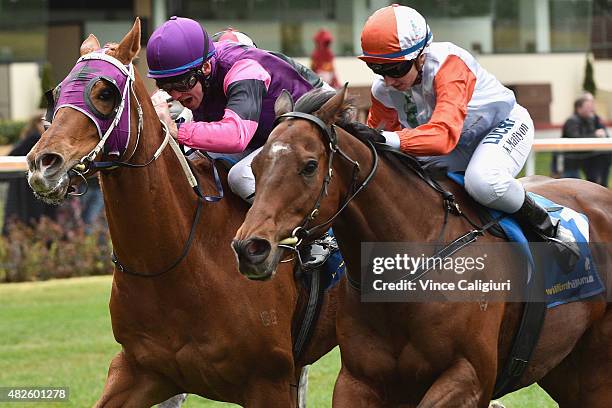 Ben Melham riding Our Nkwazi defeats Katelyn Mallyon riding Hard Romp in Race 3 during Melbourne Racing at Moonee Valley Racecourse on August 1, 2015...