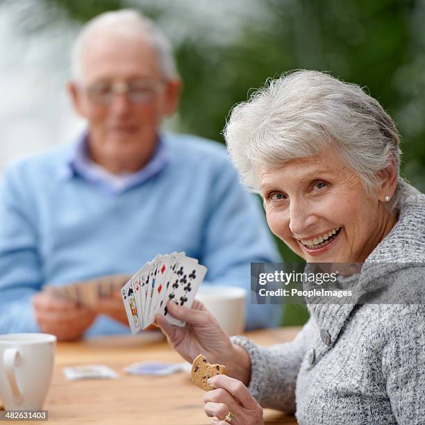 she's got a plan! - bridge card game stock pictures, royalty-free photos & images