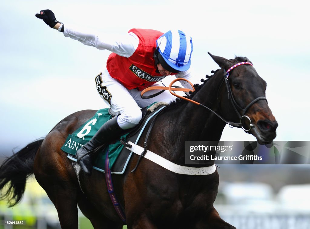 Aintree Races