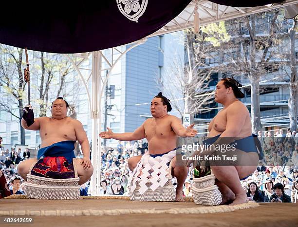 Professional sumo wrestler Harumafuji Kohei performs Dohyo-iri, the ring-entering ceremony during the Ceremonial Sumo Tournament or Honozumo at the...